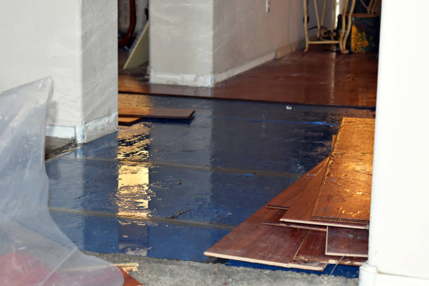 Professional Basement Water Removal technician working in Derry, NH